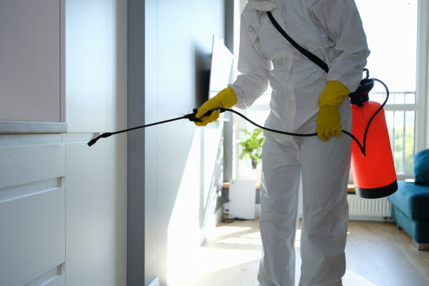 Best Industrial Mold Remediation in Crete, IL