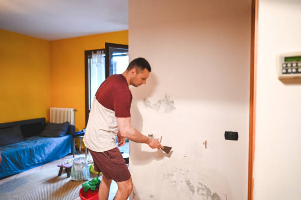 Best Insurance-Related Mold Remediation in Crete, IL